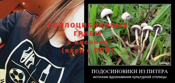 бошки Сосновый Бор