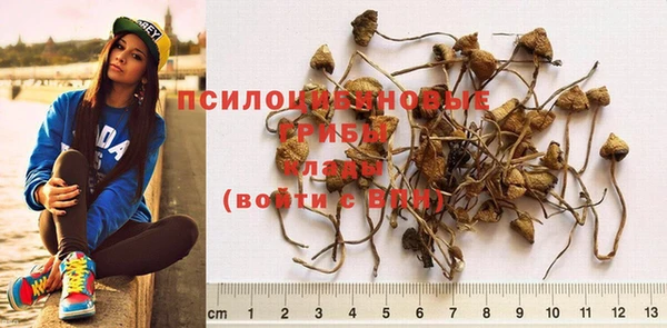 не бодяженный Сосновоборск