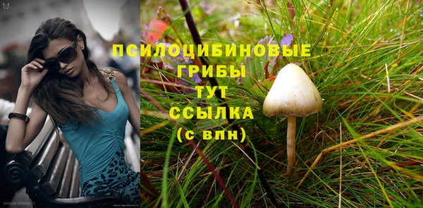 бошки Сосновый Бор