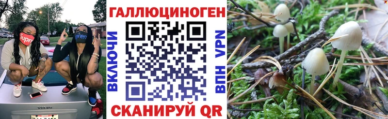 Купить где  Артём  Псилоцибиновые грибы мухоморы